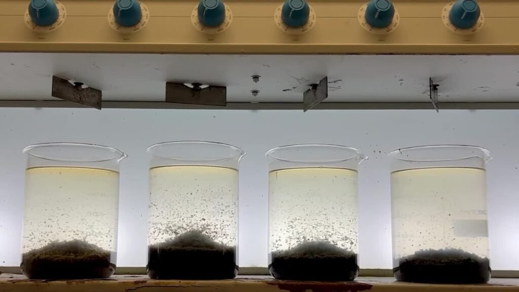 Four beakers under a light with murky water and sediment layers at the bottom.