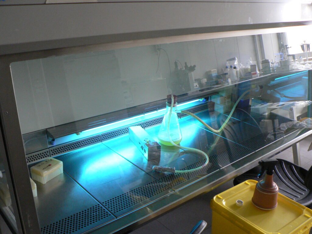 Clean laboratory fume hood with bottles, tubing, and blue lighting, used for scientific research and experiments.