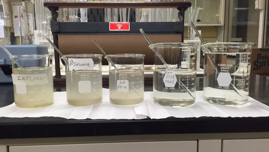 Five glass beakers on a lab counter, each containing a clear to cloudy liquid, are integral to the wastewater treatment process. Labeled as "Influent," "Effluent," "2nd Stage," and similar, they indicate various stages of this essential treatment duration. Stirring rods rest in each beaker.