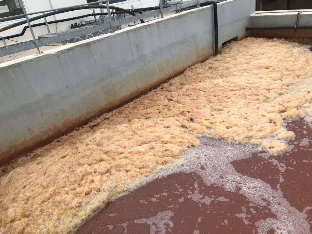 A large rectangular tank, part of a wastewater treatment process, is filled with a foamy, light brown substance atop reddish-brown liquid. The tank, surrounded by concrete walls with metal railings visible in the background, illustrates how foaming occurs during treatment.