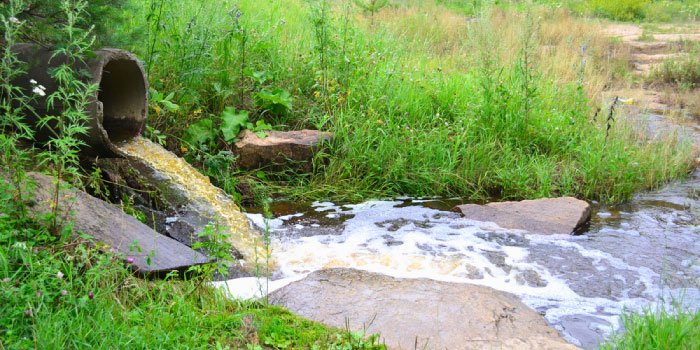 A pipe discharges yellowish water into a stream, with tall grasses and wildflowers suggesting a natural setting where the primary wastewater treatment might be insufficient, raising concerns about potential environmental impact.
