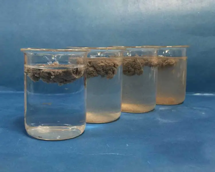 Four glass beakers in a row contain clear liquid with gray sediment floating at the surface, showcasing the challenges of paint industry wastewater treatment. The sediment varies in thickness from left to right against a plain blue background, highlighting efficient solutions for environmental compliance.